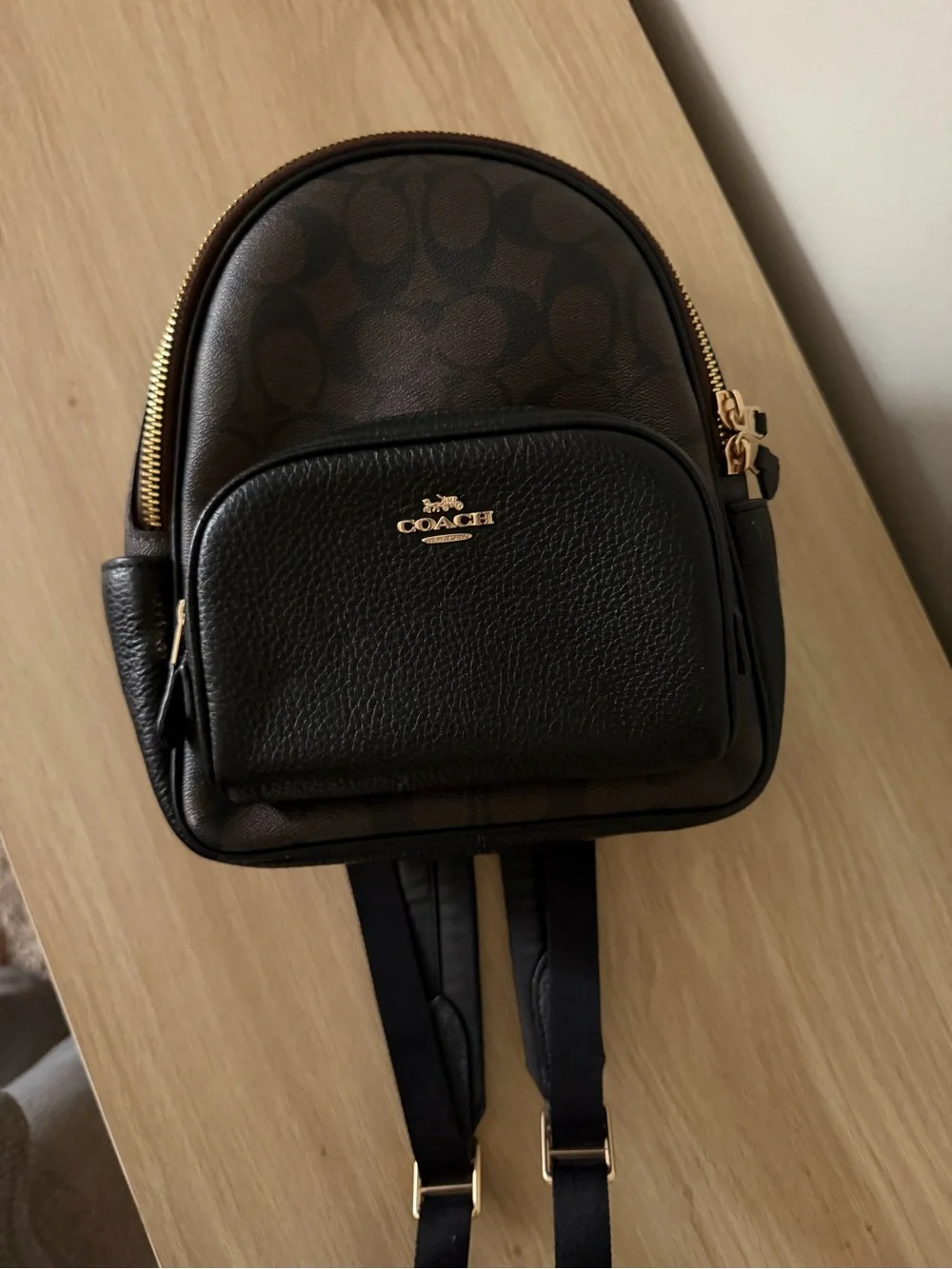Coach Mini Backpack in Brown and Black with Gold Hardware